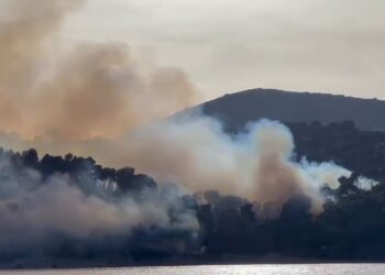 Sazani ende në flakë/ Zjarrëfikësit dhe forcat ushtarake në “luftë” me zjarrin