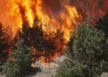 Zjarr në ishullin e Sazanit, “zbarkon” urgjent ushtria për të neutralizuar flakët