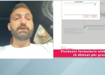 Sulmi ndaj institucioneve qeveritare/ Eksperti i IT: I fuqishëm dhe i mirëorganizuar, fikja e sistemit veprimi i duhur