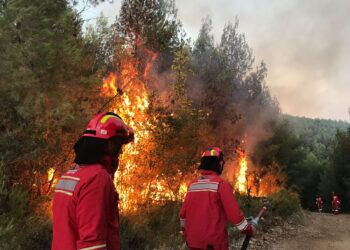 Zjarri në Krastë të Krujës/ Peleshi: 67 efektivë dhe 7 mjete të Emergjencës civile janë angazhuar për shuarjen e flakëve