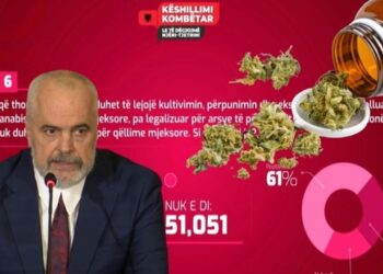 Projektligji/ Forbes: Shqipëria mund të legalizojë kanabisin mjekësor vetëm për eksport! Pacientët nuk do ta marrin për trajtim mjekësor
