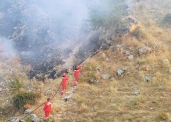 Ministri Peleshi apelon: Dy avionë nga Greqia u shtohen forcave operacionale për shuarjen e zjarrit në Dropull