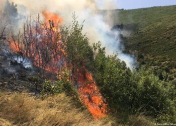 Zjarr në zonën e Torovicës, rrezikojnë të digjen dy shtëpi, ndërhyn edhe ushtria