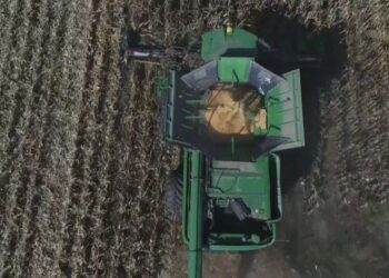 Marrëveshja u arrit mes Rusisë dhe Ukrainës, por sa kohë duhet të dalë i gjithë gruri nga portet e Ukrainës?