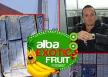 Kokaina e kapur në kontenierët me banane/ GJKKO shtyn hetimet për vëllezërit e “Alba Exotic Fruit”