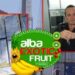 Kokaina e kapur në kontenierët me banane/ GJKKO shtyn hetimet për vëllezërit e “Alba Exotic Fruit”