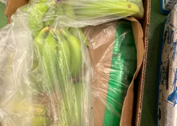 Skema e njejtë/ Në Angli si në Shqipëri: E fshehur në banane, sekuestrohet sasi e madhe kokaine në Londër. Vinte nga Kolumbia