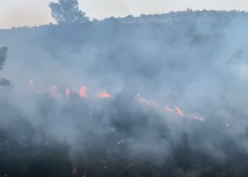 Pamje të frikshme në dalje të Lezhës! Flakët ‘përpijnë’ kodrën me pisha e shkurre përgjatë aksit kombëtar