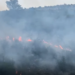 Pamje të frikshme në dalje të Lezhës! Flakët ‘përpijnë’ kodrën me pisha e shkurre përgjatë aksit kombëtar