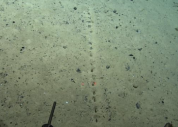 Misteri/ Kush i hapi “vrimat” 1.7 milje në Atlantik, pamjet që po habisin shkencëtarët