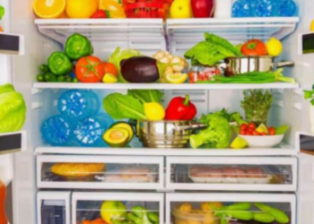 Truku/ Para se të shkoni me pushime, mos harroni të vendosni një monedhë në frigorifer, mësoni arsyen