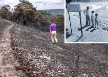 Thatësira më e madhe prej vitit 1976, gjendje ‘alarmante’ me temperaturat në Angli