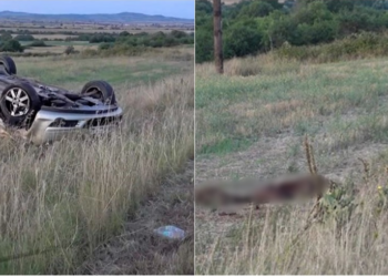 Tre automjete të përfshira, 2 viktima, 3 të plagosur e një tufë derrash të egër/ Bilanci i një aksidenti