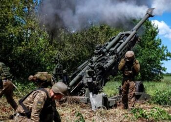 Lufta në Ukrainë/ Zbulohet plani për të frenuar ushtrinë ruse, ja çfarë fshihet mes pyjeve në pritje të armikut