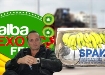 6 raste me kokainë nëpër kontenierë/ Gjykata e Lartë rrëzon kërkesën për heqjen e sekuestros së “Alba exotic Fruit”. Pronari në qeli prej 6 prillit