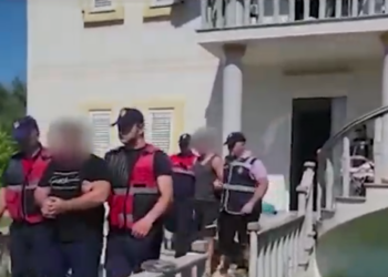 Kultivuan kanabis/ Arrestohet babë e bir, në kërkim djali tjetër. Sekuestrohen 8 kg kanabis, 163 bimë narkotike, 40,800€, 3000$ e 2 automjete