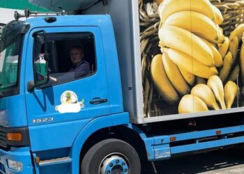 “Është hall i madh!”/ Artan Hoxha: Mbani ‘mallin’ na ktheni arkat me banane Ekuadori, ka shkuar çmimi për…!