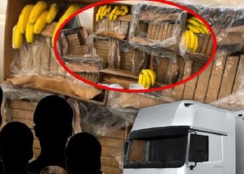 Zhdukja e arkave me “Bana King”; 20 punonjësit e portit në gjykatë: S’kemi dijeni ku shkuan