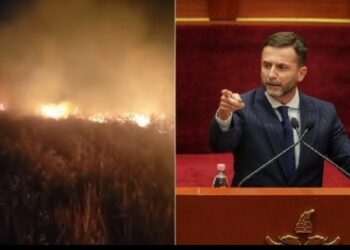 “S’do ta gëzosh kurrë atë tokë”/ Braçe denoncon zjarrvënien e qëllimshme, kritika policisë: Të paaftë, bëni një herë të vetme detyrën