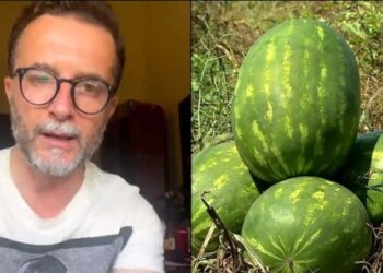 “Ikni nga kafet në Tiranë, hajde shesim shalqinin”/ Thirrja e Braçes: Situata është dramatike! Është turp…