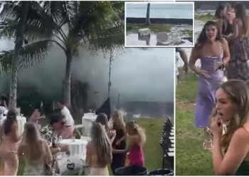 Dasma buzë detit/ VIDEO ku dallga e madhe i shkatërron momentin e bukur