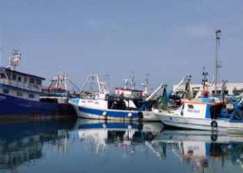 Bie aktiviteti i peshkimit! Shkak mungesa e fuqisë punëtore dhe kriza e karburantit