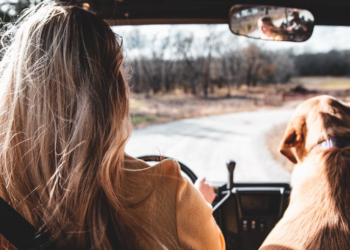 Kur të hyni në makinën e tij, mbajini sytë hapur/ Shenja e Horoskopit më e keqe në timon