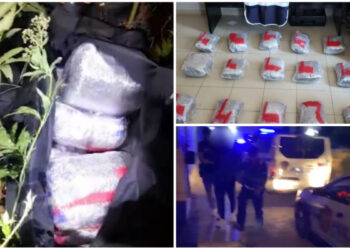 Trafikonte drogë drejt Greqisë, sekuestrohen 30 kg kanabis/ Pranga 24-vjeçarit në Korçë. Procedohet penalisht bashkëpunëtori