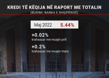 Rriten kreditë e papaguara në kohë, shkak kriza e çmimeve dhe rritja e normës bazë të interesit