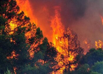 Rrezikohen vilat e “bllokmenëve” të rinj?! Zjarr masiv në Gjirin e Lalëzit, 5 banesa kërcënohen nga flakët