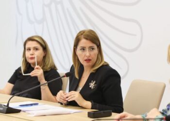 Ngrihet Komiteti i Ekspertëve për linë e majmunit, ja si është situata në vend