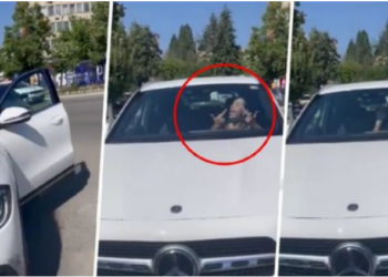 “E kam babin prokuror, ta q* nënën”/ Vajza në Prishtinë për pak sa nuk shtyp kalimtaren, del dhe e kërcënon në mes të rrugës: Ik tani…