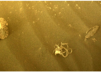 “Spaghetti” në Mars? NASA fotografon objektin misterioz në sipërfaqen e planetit