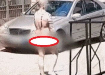 Lakuriq në rrugët e Tiranës, policia sqaron: 37-vjeçari vuan nga probleme të shëndetit mendor, dhunoi familjarët dhe…