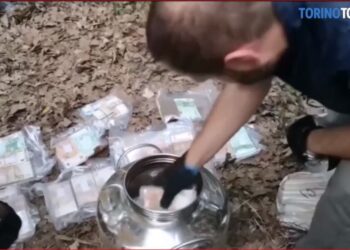 VIDEO/ Pasuria prej 1 milion euro gjendet i fshehur në kazanë të groposur në bahçet e bosëve të Ndranghetës