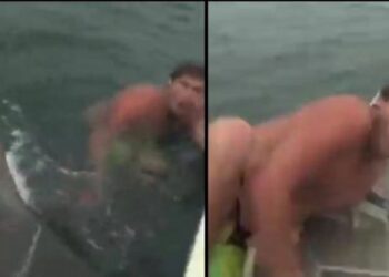 VIDEO/ Pamje tmerruese: Burri i shpëton sulmit të peshkaqenit, në momentin e fundit ngjitet në varkë