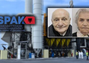 SPAK pritet të marrë në pyetje të moshuarit/ I denoncoi Kryemadhi se kishin kompani 30 mln $