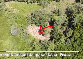 Shpyllëzoi tokën për të mbjellë kanabis, arrestohet 32-vjeçari