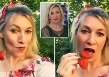 VIDEO/ Zëdhënësja e Putin poston videon ‘e frikshme’ duke ngrënë luleshtrydhe në stil erotik në rrjetet sociale