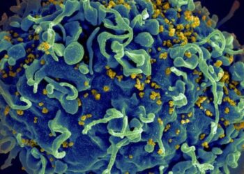 Zbulimi që mund të ndryshojë botën: Shpresë për të sëmurët me SIDA, 66-vjeçari shërohet nga infeksioni HIV