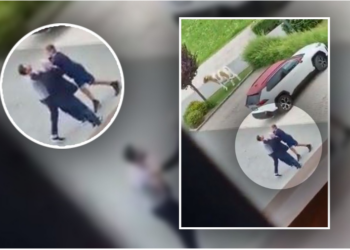VIDEO/ Plas te klubi italian i Torinos, sherr mes trajnerit dhe drejtorit sportiv