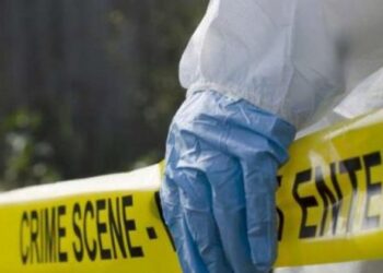 Tronditëse/ Burri vret gruan shtatzënë dhe më pas i heq nga barku foshnjën e palindur