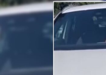 Zbulohet kush është vajza e prokurorit/ Kërcënoi dhe gati përplasi kalimtaren në vijat e bardha