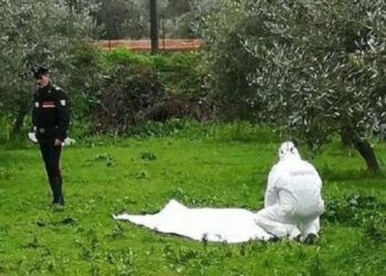 Tragjike/ 20-vjeçari shqiptar gjendet i pajetë në një tokë bujqësore, dyshohet se…!