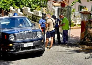 Zdrukthtari vret bashkëshorten, e mban trupin tre ditë sikur s’ka ndodhur gjë