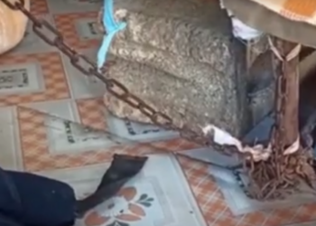 Vajza nga Kurbini prej vitesh mbahet e lidhur me zinxhir, nëna: Po e lëshova mund të dëmtojë veten ose të tjerët