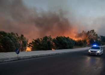 FOTOT/ Bota gjatë një jave: Nga ariu polar, rritja e çmimeve e dorëheqja e Johnson tek zjarret në Greqi