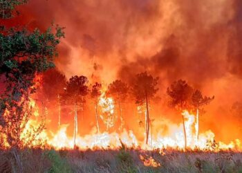 Temperatura përvëluese/ Zjarre në shumë shtete të Europës, digjen shtëpi e biznese! Mijëra qytetarë largohen nga banesat