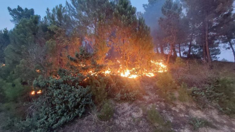 Zjarri merr përmasa të frikshme në Mallakastër, banorët drejt evakuimit! Shkrumbohen dhjetëra hektarë pisha dhe ullinj