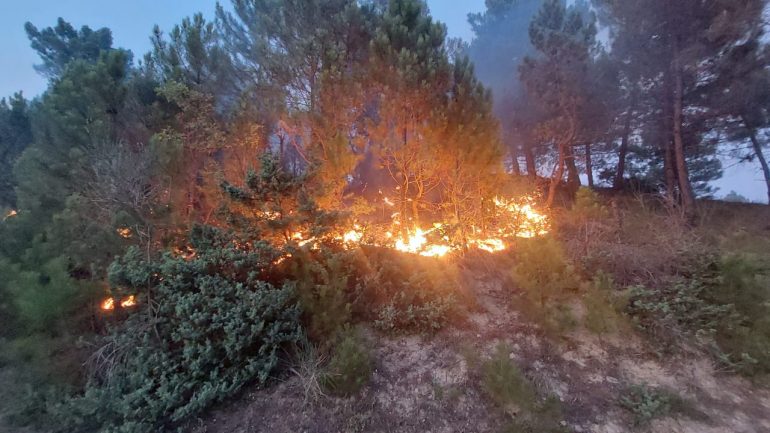 “Shtatë vatra aktive, janë shuar 13”! Si paraqitet situata me zjarret. Në Shëngjin, ndërhyrje edhe nga ajri